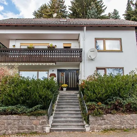 Schwarzwald Renovated Design Green Studio Lejlighed