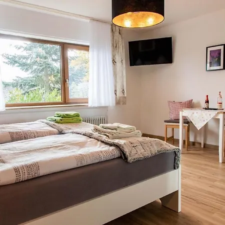 Schwarzwald Renovated Design Green Studio Lejlighed *