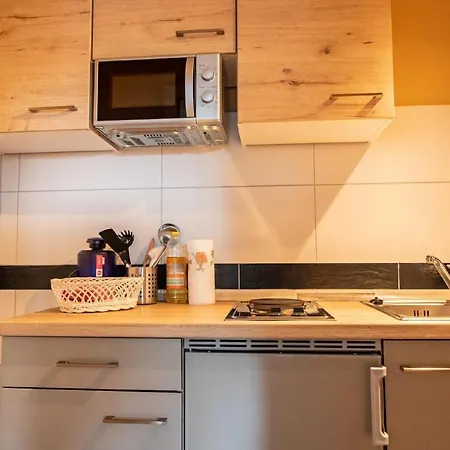 Schwarzwald Renovated Design Green Studio *