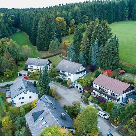 Schwarzwald Renovated Design Green Studio Lejlighed